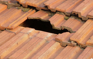 roof repair Veldo, Herefordshire